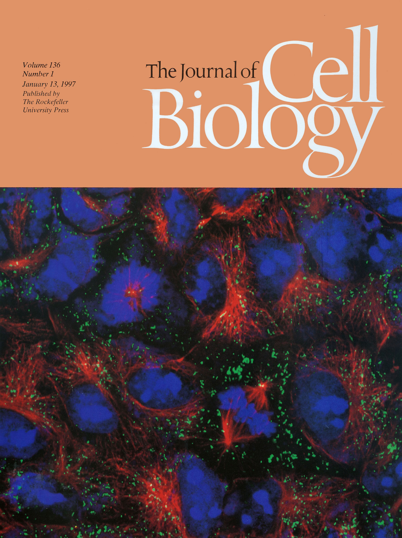 Journal of Cell Biology January 13, 2007